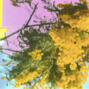 Four Tet's new single samples Mazzy Star · News ⟋ RA