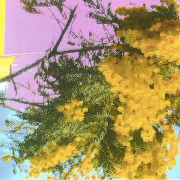 Four Tet's new single samples Mazzy Star · News ⟋ RA