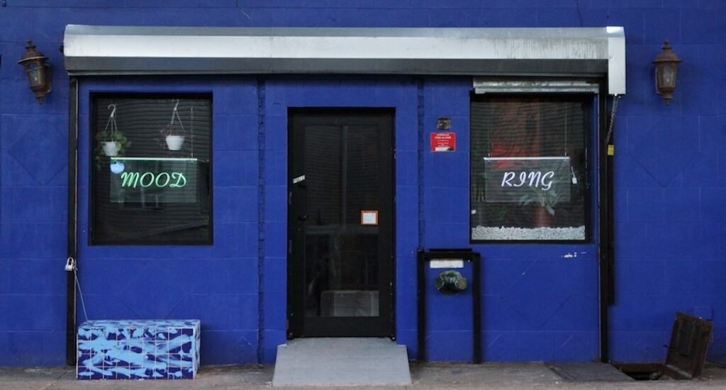 'A targeted attack': Brooklyn Puerto Rican Day Parade afterparty raided by police · News ⟋ RA