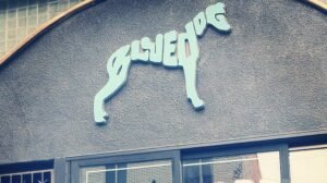 Long-running Montreal music bar The Blue Dog to close by end of month · News ⟋ RA