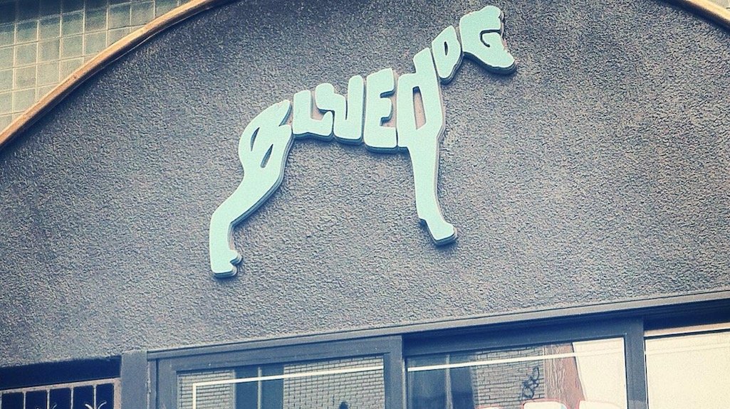 Long-running Montreal music bar The Blue Dog to close by end of month · News ⟋ RA