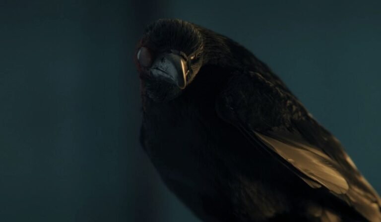Mercoledì 2, come finisce la prima parte? Chi l'Aviario serial killer?