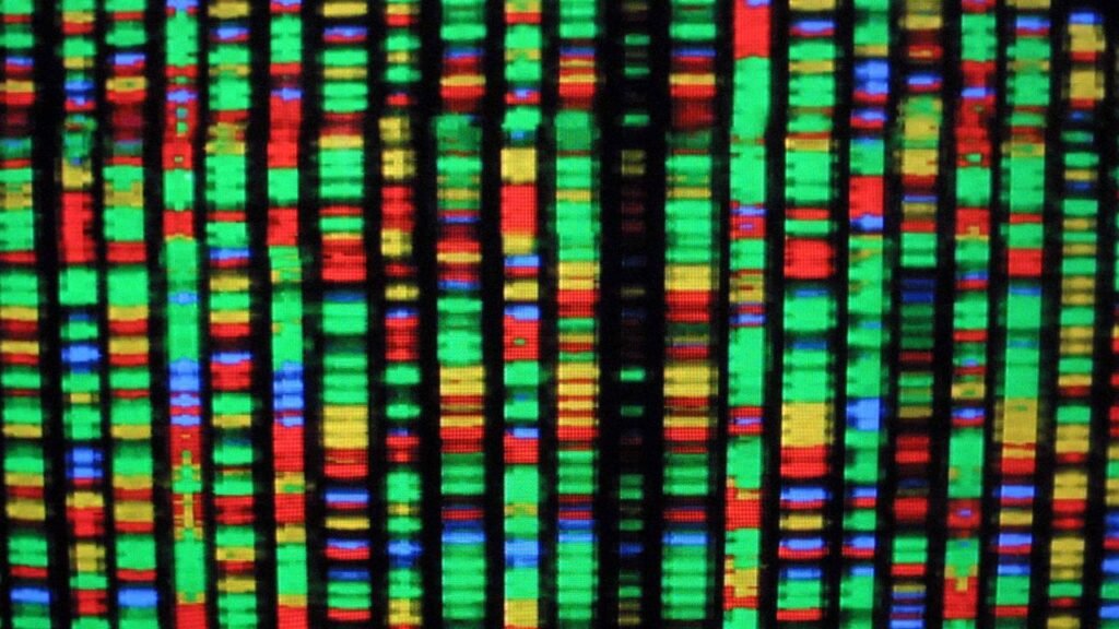 L’intelligenza artificiale ha creato un nuovo virus che infetta e uccide batteri e c'è chi si interroga sui possibili rischi