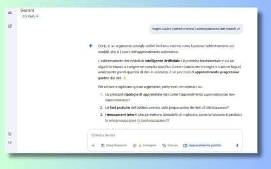 Esempio Apprendimento Guidato Gemini