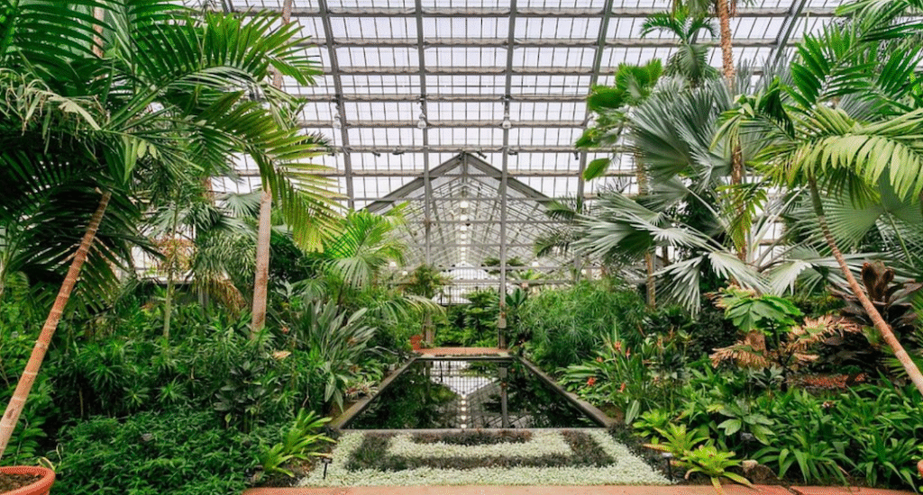 Chicago's Plantasia Festival to return next weekend with Suzanne Ciani, Kara-Lis Coverdale · News ⟋ RA