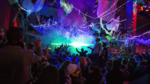 Stockholm venue Trädgården secures future for 'at least two more years' · News ⟋ RA