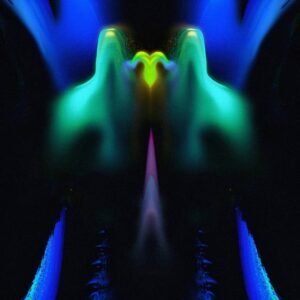 Darwin launches new label, Biofield Records · News ⟋ RA