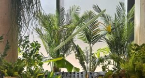 RA to bring Greenhouse Sessions to ADE 2025 · News ⟋ RA