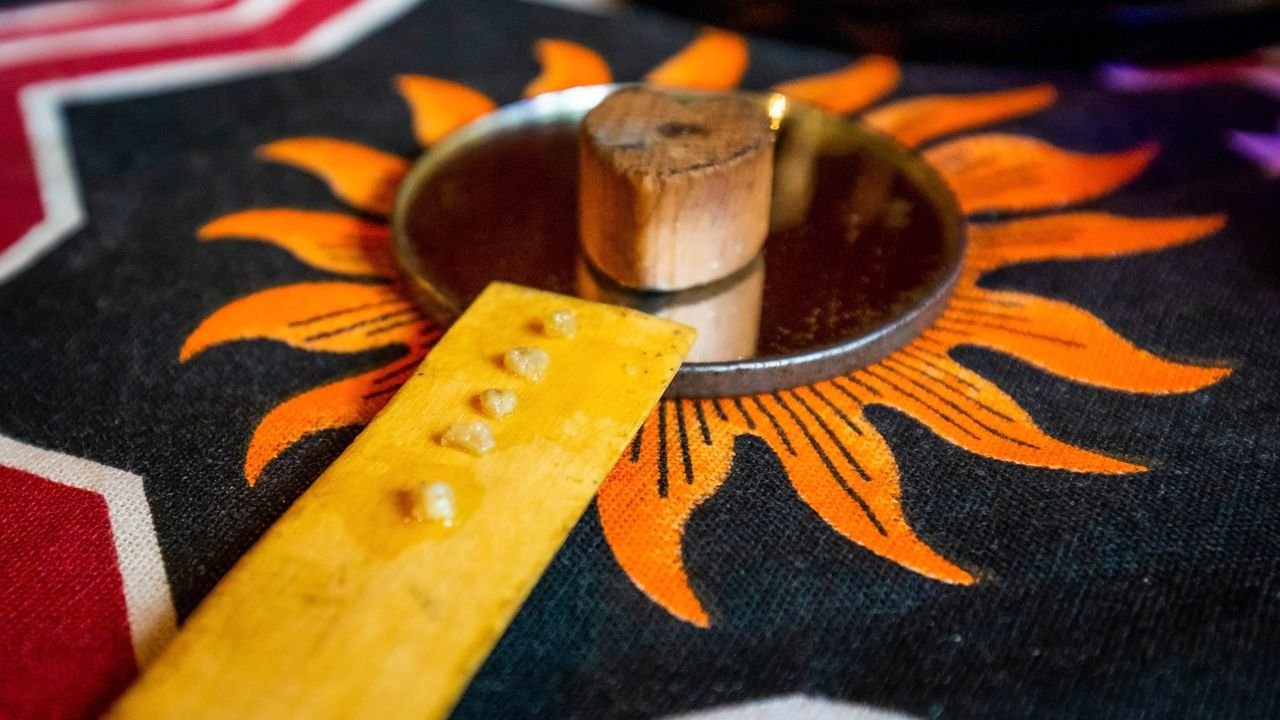 Artemisia, baobab e intelligenza artificiale: riusciranno le nuove tecnologie a superare i confini geopolitici della medicina?