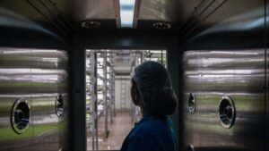 Quando con l’intelligenza artificiale può persino farci risparmiare acqua. Non è un paradosso, succede in agricoltura