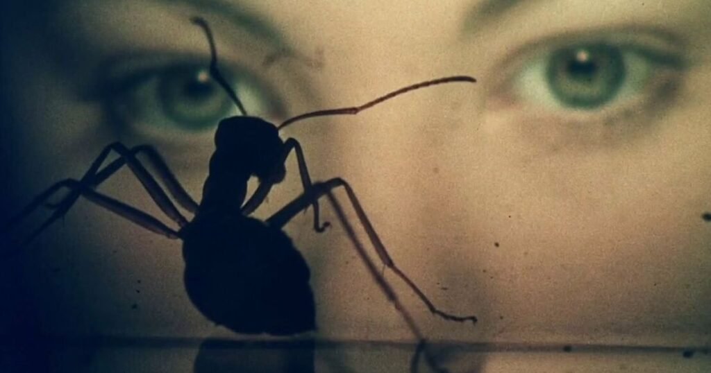 A più di 40 anni dalla sua uscita, questo film resta il sogno sci-fi più inquietante e malinconico che il cinema ci abbia regalato