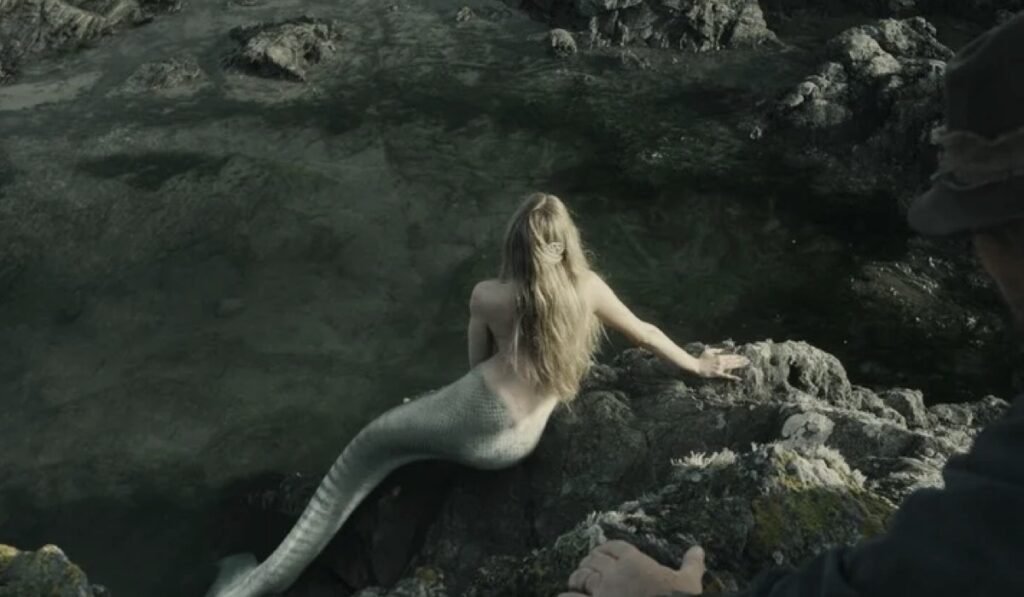 The Pearl Comb: intervista ad Ali Cook