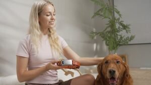 C'è un nuovo collare AI che promette di tradurre il linguaggio dei cani, stavolta ci riuscirà?