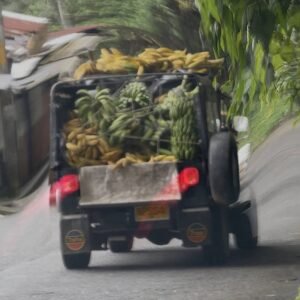 New TraTraTrax compilation features BRENDA., OMAAR, T.NO · News ⟋ RA