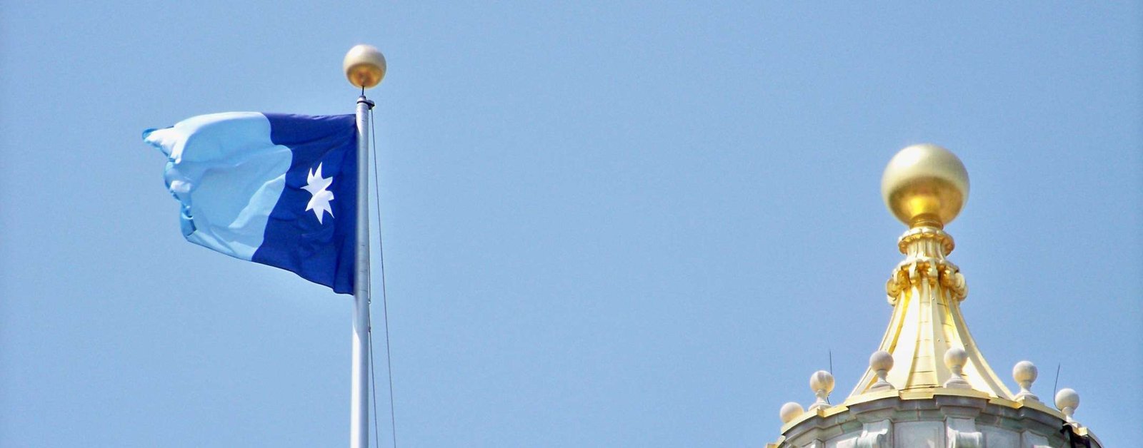 Tre CEO condannano la violenza dell'ICE, ma lodano Trump