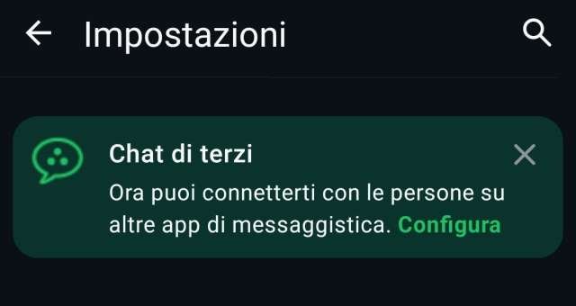 WhatsApp chat terze parti