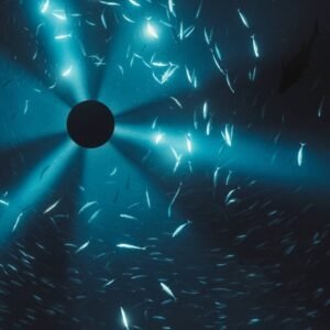 Laurel Halo to release Midnight Zone OST · News ⟋ RA