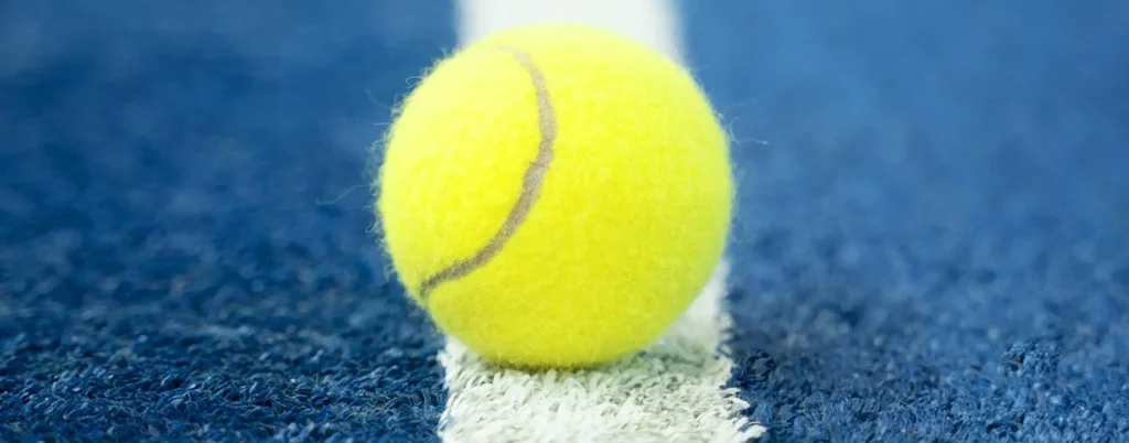 Come vedere Sinner-Djokovic in streaming gratis