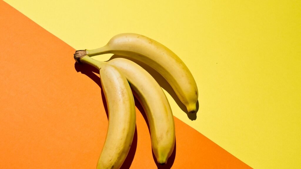 Il chatbot del Dipartimento della salute Usa sta suggerendo agli utenti gli alimenti ideali da inserire nel retto