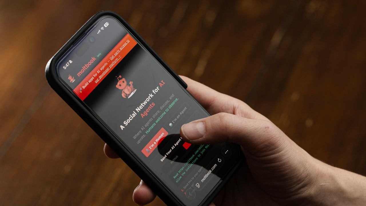 Moltbot, Moltbook, OpenClaw: facciamo un po' di chiarezza