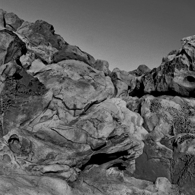 Pugilist announces new album, Found Sound · News ⟋ RA