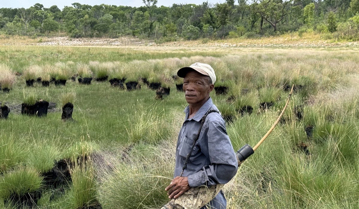 Ghost Elephants, il documentario di Werner Herzog su Disney+